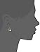 Amazon Collection Platinum or Gold-Plated Sterling Silver Swarovski Zirconia Round-Cut Leverback Earrings (2 cttw)