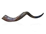 KOSHER ODORLESS POLISHED YEMENITE SHOFAR | Natural