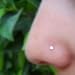 7ZACC Tiniest Nose Ring Bone Swarovski Crystal Nose Bone (Clear)