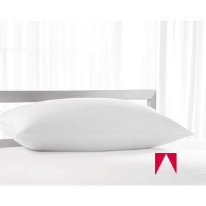 American Hotel Register Pillow - Registry King Deluxe Silver Hotel Pillow - Medium Density -,Four (4) Pillow Set + Bonus of 2 King Pillows. Must BE Delivered to Business Address ONLY!!!