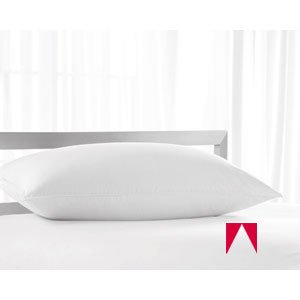 AMERICAN HOTEL REGISTER PILLOW - Registry ® Deluxe Silver Hotel Pillow - Medium Density (2 Standard Pillows) Hypoallergenic and odorless. Usually ships within 1-5 business days unless there is a problem.