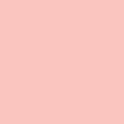 Crystal Color Powder Food Coloring, One Jar of 2.75 Grams - Pale Shrimp