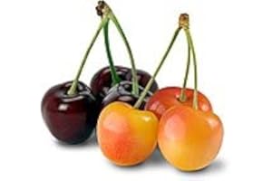 4 lbs Washington Dark Red and Rainier Sweet Cherries