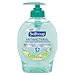 Softsoap Antibacterial Hand Soap with Moisturizers Fresh Citrus