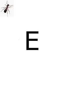 Livro E