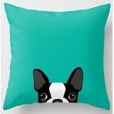 Kenneth Case Stylish Boston Terrier Funny Pattern Double size Printing Unique Throw Pillows Square Concealed Zipper 18X 18 (Two Sides)