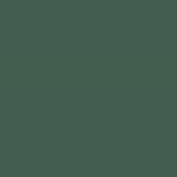 Trade Paints Heavy Duty Quick Dry Floor Paint 5 L Green BS14C39 view 5