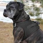 American River Ultra Choke Free Dog Harness-Black XXXL by Doggie Design