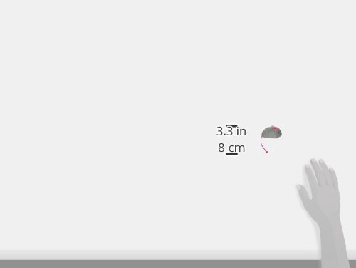 SmartyKat Skitter Critters Catnip Cat Toys Value Pack, 10 Count