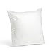 Foamily Throw Pillows Insert 20 x 20 Inches Hypoallergenic, Made in USA - Decorative Couch, Bed Filler