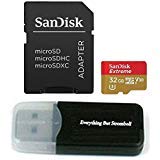 32GB Sandisk Extreme 4K Memory Card works with Gopro Hero 6, Fusion, Hero 5, Karma Drone, Hero 4, Session, Hero 3, 3+, Hero + Black - UHS-1 32G Micro SDHC with Everything But Stromboli Card Reader