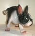 BOSTON TERRIER PEEING DOG Statue figurine decor 12