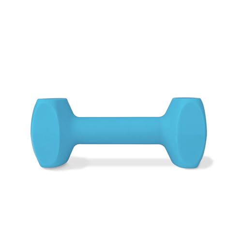 Coachi Training Dumbbell, Floats, Long Distance Throwing, Classic Retrieval Toy…