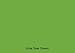 12" x 10 ft Roll of Matte Oracal 631 Lime Tree Green Repositionable Adhesive-Backed Vinyl for Craft Cutters, Punches and Vinyl Sign Cutters by VinylXSticker