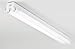 Lithonia Lighting 1233 4' 2-Light T12 Shop Light