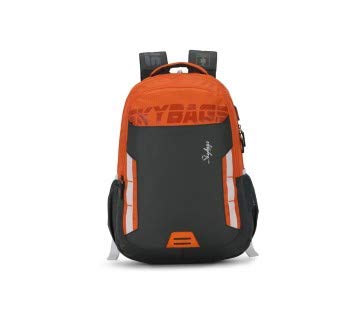 Skybags Figo Extra 02 36 Ltrs Grey Casual Backpack (FIGO Extra 02)
