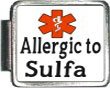 Allergic To Sulfa Medical Alert Italian Charm Bracelet Link