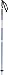 Salomon Arctic Poles
