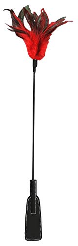 SPORTSHEETS – Sex & Mischief: Feather Slapper-Tickle and Spanking Adult Toy (Red and Black)