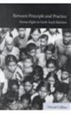 Between Principle and Practice : Human Rights in North-South Relations, Gillies, David, 0773514147