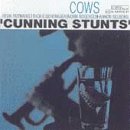 CUNNING STUNTS                                     image