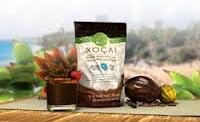 Xocai X Protein Meal Shake by Xocai Healthy Chocolate
