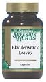 Bladderwrack Leaves 60 Caps