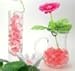 Huge 1 Pound JellyBeadZ Brand Water Beads Water Gel- Coral