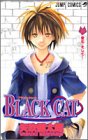 BLACK CAT 第10巻