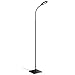 Aglaia Floor Lamp Dimmable, 6.8W LED Touch Lamp with 3 Level Brightness and Eye-Cared Light, Nature White Lighting for Reading, Writing and Studying