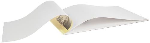 Strathmore 300 Series Bristol Smooth Pad, 19