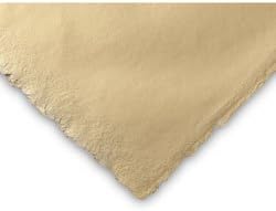 Shizen Deckle Edge Cardstock Paper - 200 gsm Ivory - 9731731 E