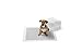 Amazon Basics Carbon Odour-Control Dog and Puppy Training Pads, Leakproof with Quick-Dry Surface, Regular (40 Count), Gray