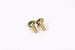 2 Pack Genuine MTD 710-04998 Carriage Screw Fits Columbia Craftsman Huskee Brute primary
