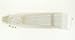 The 1 For U Women's Victorian Lace Fan Ivory/Cream