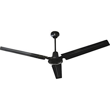 Q Standard 11560 Ceiling Fan Buy Online See Prices Features