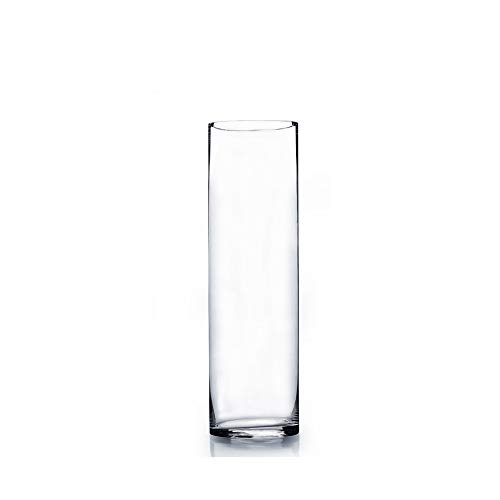 WGV Clear Cylinder Glass Vase, 14Inch Amazon.ca Home & Kitchen