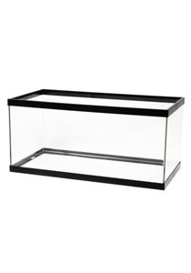 Aqueon Tank Breeder Black 36X18X16 40gal