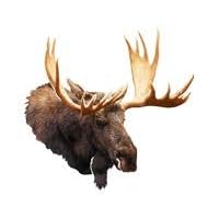 Next Innovations Metal Wall Art Decor Moose Head Wall Art