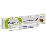 panacur rabbit
