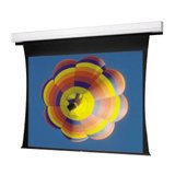 Da-Lite Tnsd 119D Adv Dlxdmhc Electric Screen