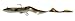 Okuma Fishing Tackle Savage Gear Real Eel Prerigged Slow Sinking Lure, Olive Brown Pearl, 8-Inch - 1 1/3 Ounce