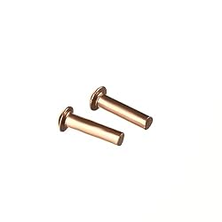 Aicosineg 50Pcs Solid Rivet 0.16in Dia 0.63in