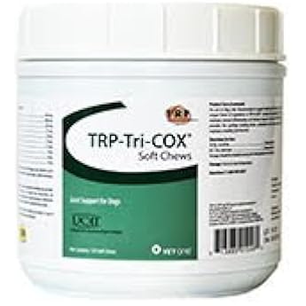 plastic dog kennel sizes