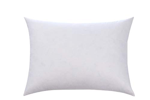 L' COZEE 100% Cotton Cover, Feather & Down Pillow, Best use for Decorative Pillows & for Firm Sleepers, Dust Mite Resistant (not Polyester Filled) Size 16x24 - Set of 2