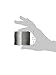 Songbird Essentials Squirrel Proof Spring Device