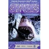Search for the Great Sharks (Large Format)