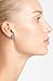 kate spade new york Small Stud Earrings - Glitter Opal
