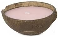 BUBBLE GUM SURF WAX 1/2 SHELL BUBBLE GUM CANDLE