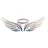 Decal Auto - TOOGOO(R) 3D Chrome Angel Wing Sticker Decal Auto Car Emblem Decal Decoration Color Silver